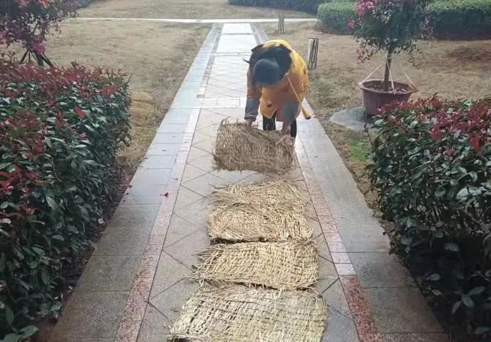 640 (3).jpg 640 (3).jpg