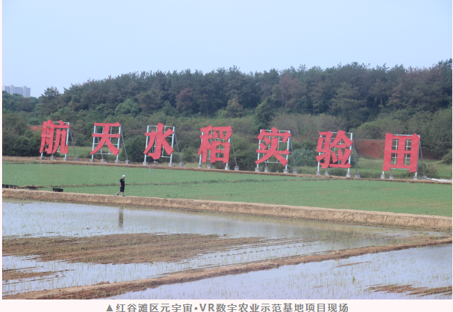 QQ瀏覽器截圖20230105164701.png QQ瀏覽器截圖20230105164701.png